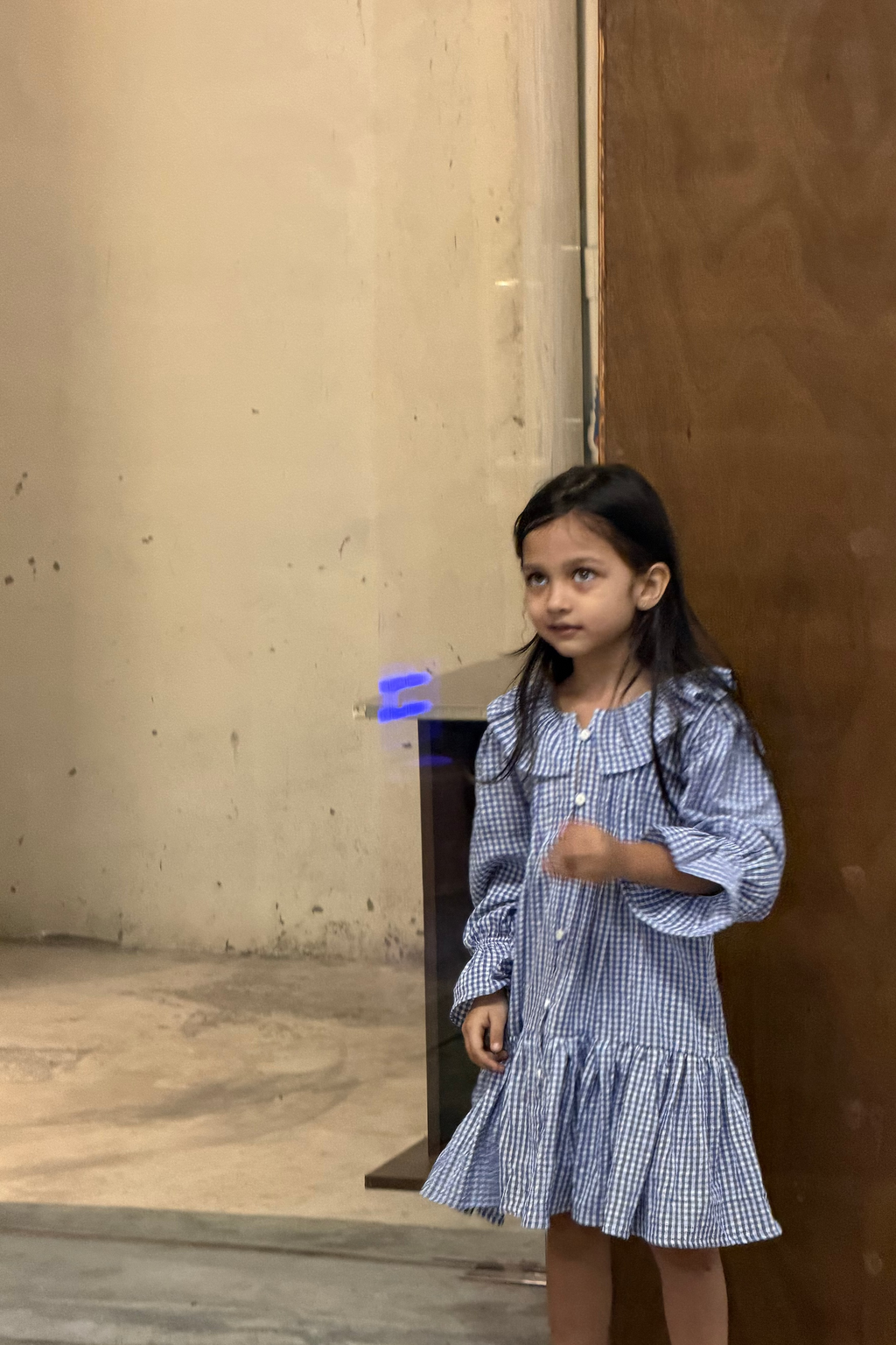 willow check frill frock