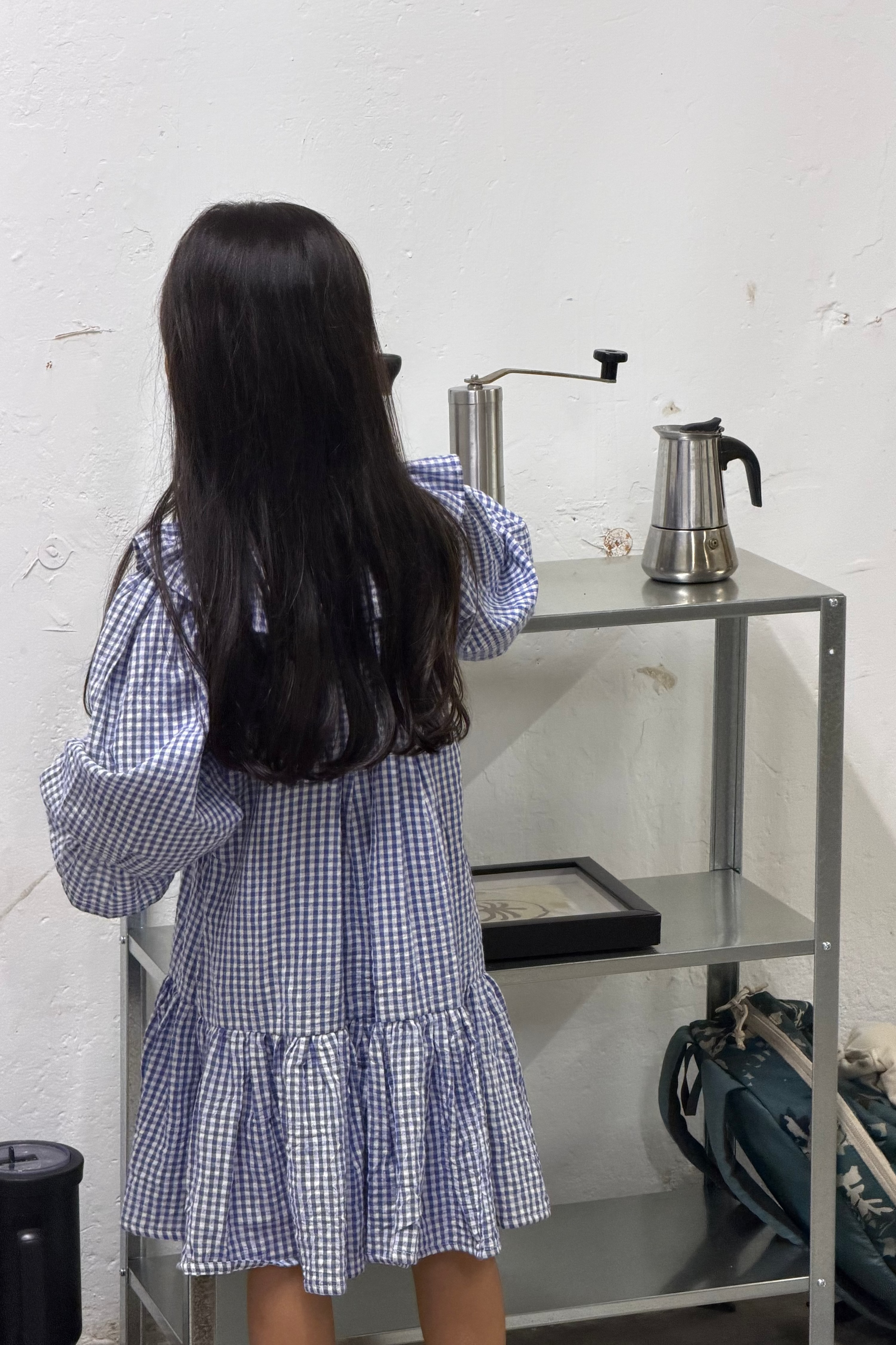 willow check frill frock